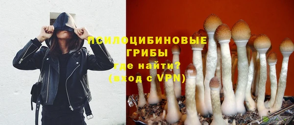 мяу мяу кристалл Ельня