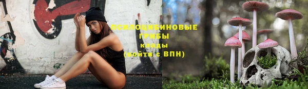 дживик Елизово