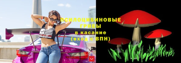 мяу мяу кристалл Ельня