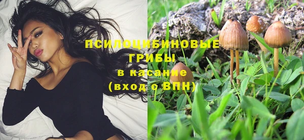 дживик Елизово