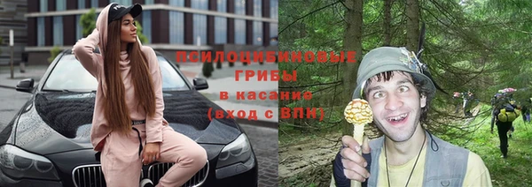 дживик Елизово