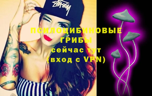дживик Елизово